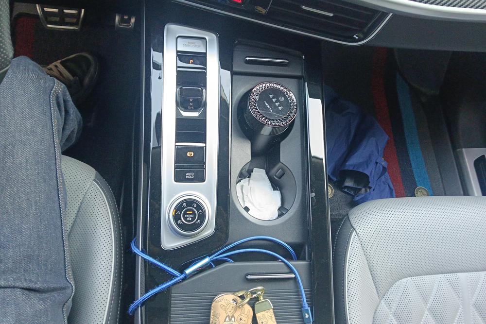 Volkswagen Tavendor, фото 15