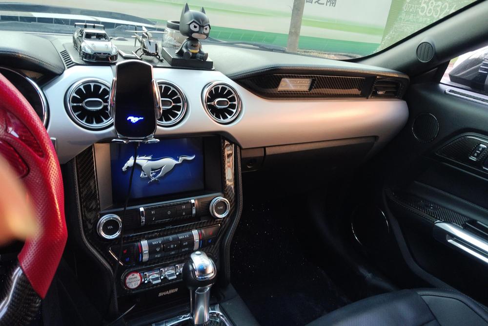 Ford Mustang, фото 14