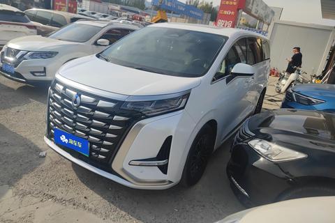 DENZA D9 DM