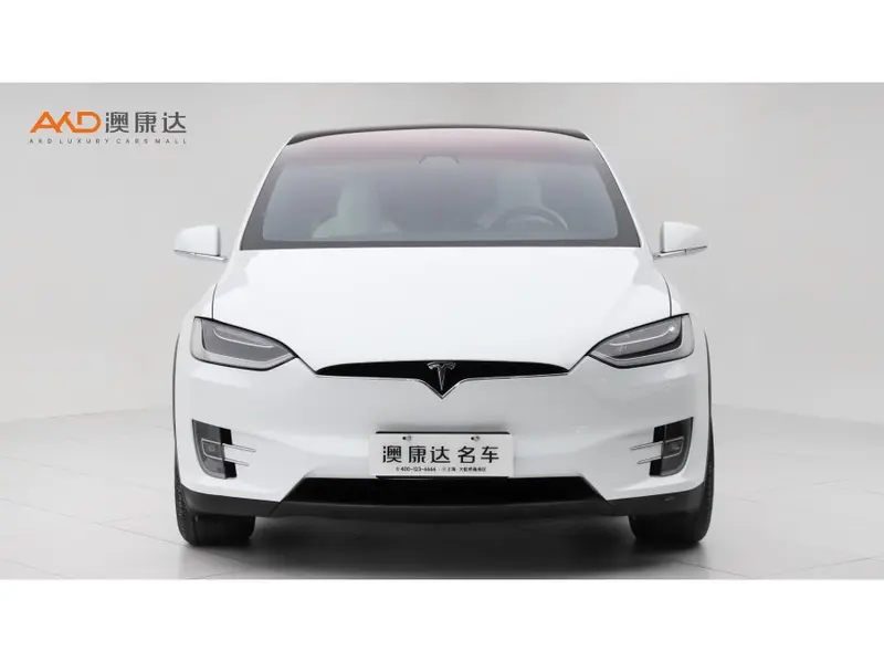 Tesla Model X 100 D — фото 2