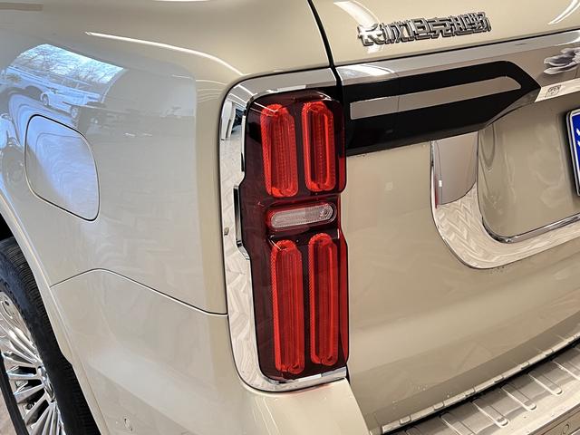 Tank 500 2023 Шампань из Китая, фото 6