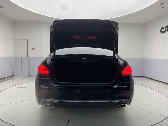 BMW 5-Series 2023 530 Li Leading — фото 13
