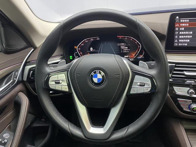 BMW 5-Series 2023 530 Li Leading — фото 20