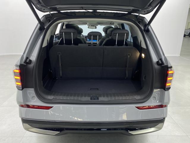 Ford Sharp World 2024 Темно-серый из Китая