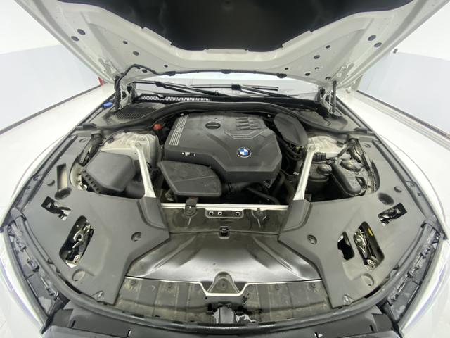 BMW 5-Series 2023 530 Li Leading M — фото 10