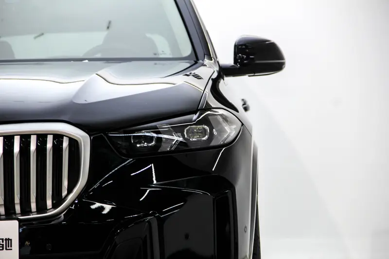 BMW X 5 x Drive 30 Li M Sport Shadow Edition — фото 7