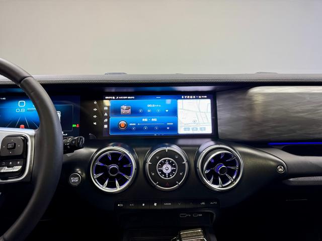 Tank 300 2025 Черный из Китая, фото 2