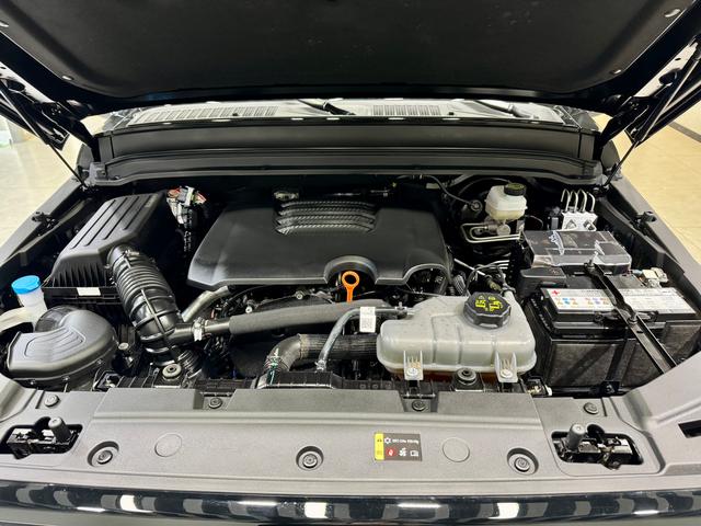 Tank 300 2025 Черный из Китая, фото 3