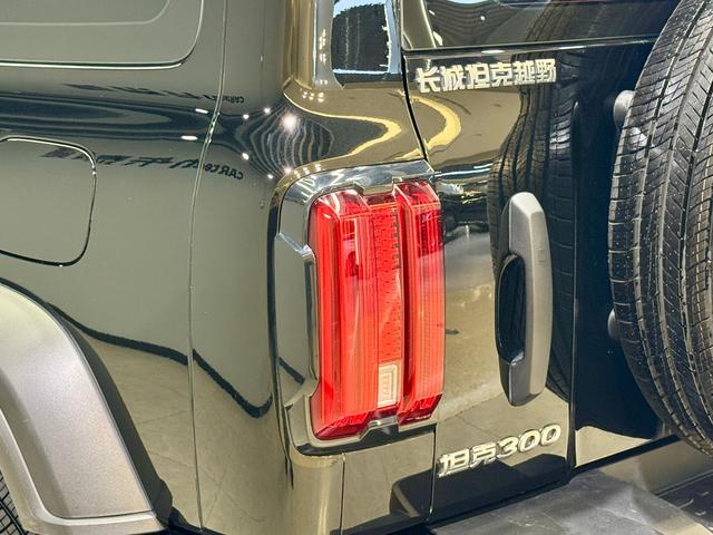 Tank 300 2025 Черный из Китая, фото 5