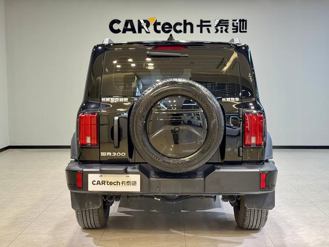 Tank 300 2025 Черный из Китая, фото 6