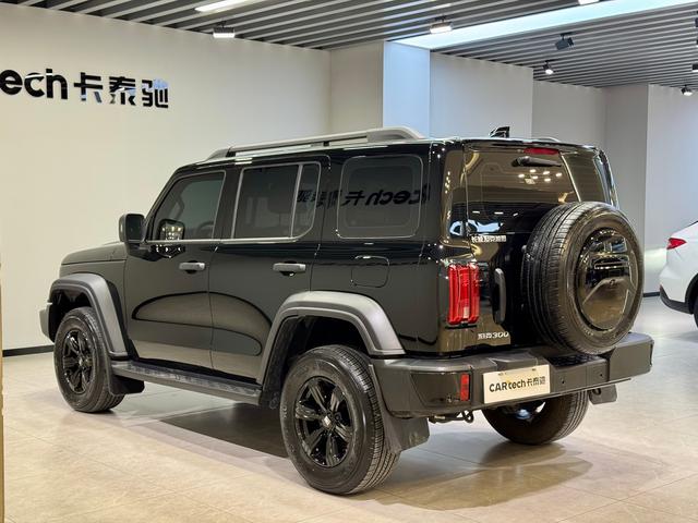 Tank 300 id 3837324 из Китая 14