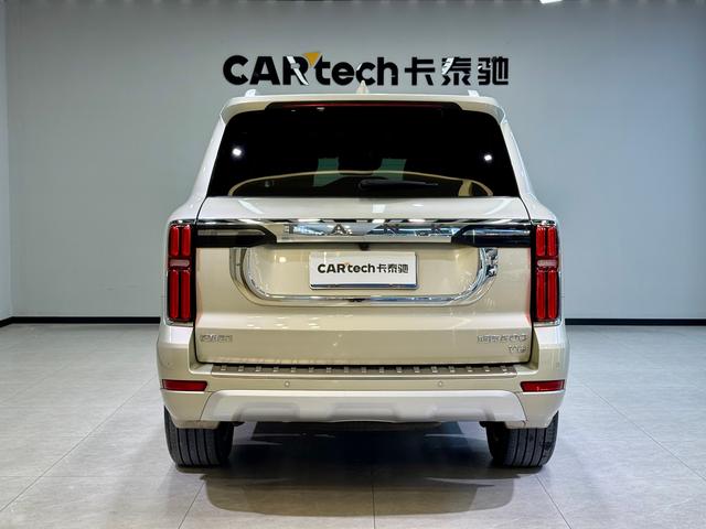 Tank 500 2023 Шампань из Китая, фото 5