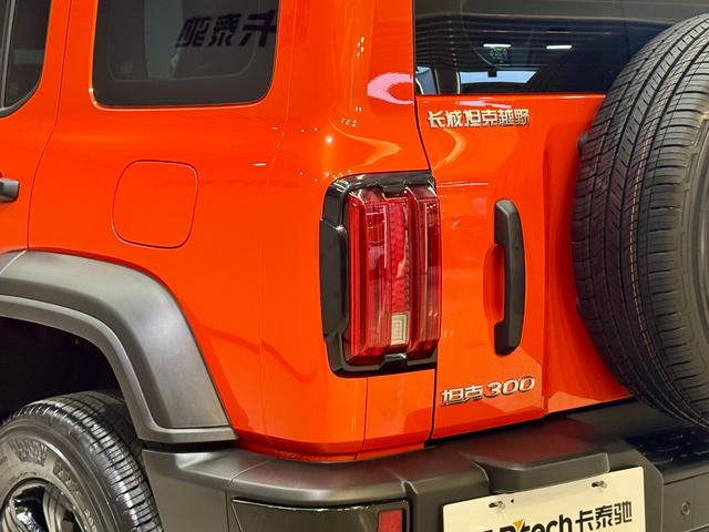 Tank 300 id 3856120 из Китая 14