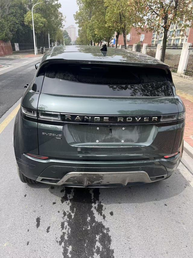 Land Rover Range Rover Aurora 2024 Зеленый из Китая, фото 3