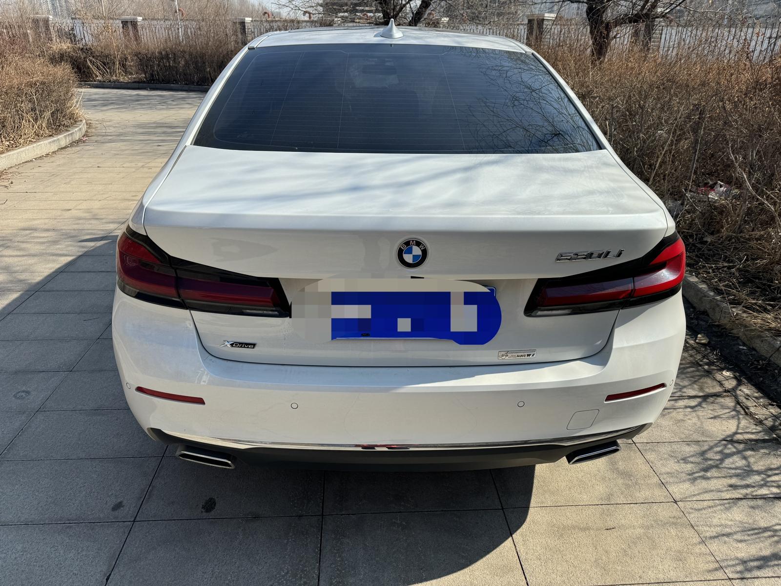 BMW 5 Series 5 2021 530Li xDrive Luxury