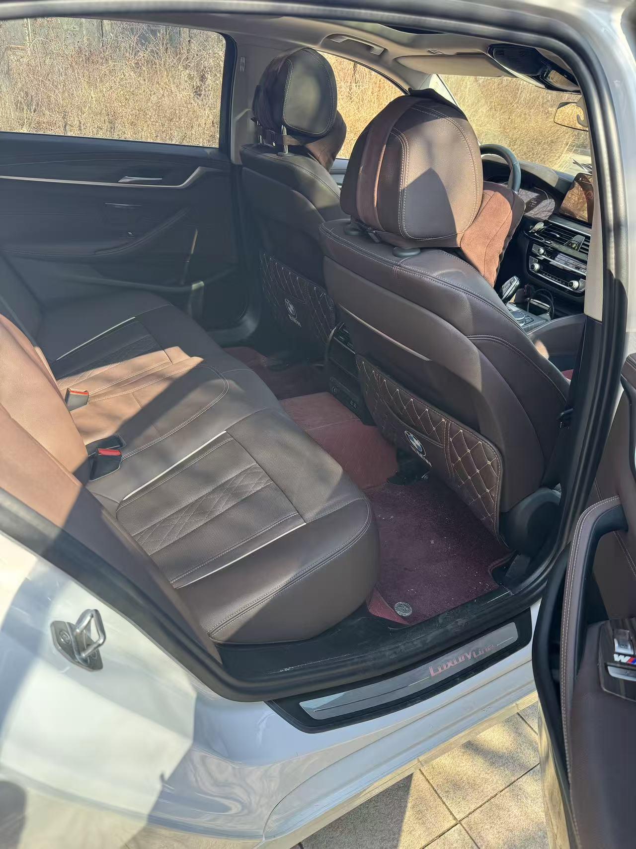BMW 5 Series 5 2021 530Li xDrive Luxury
