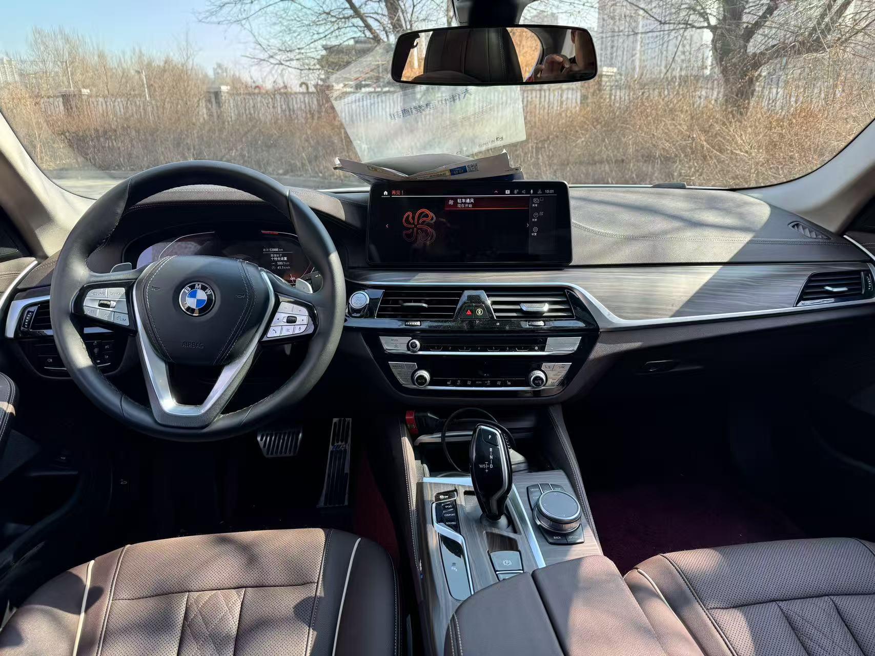 BMW 5 Series 5 2021 530Li xDrive Luxury