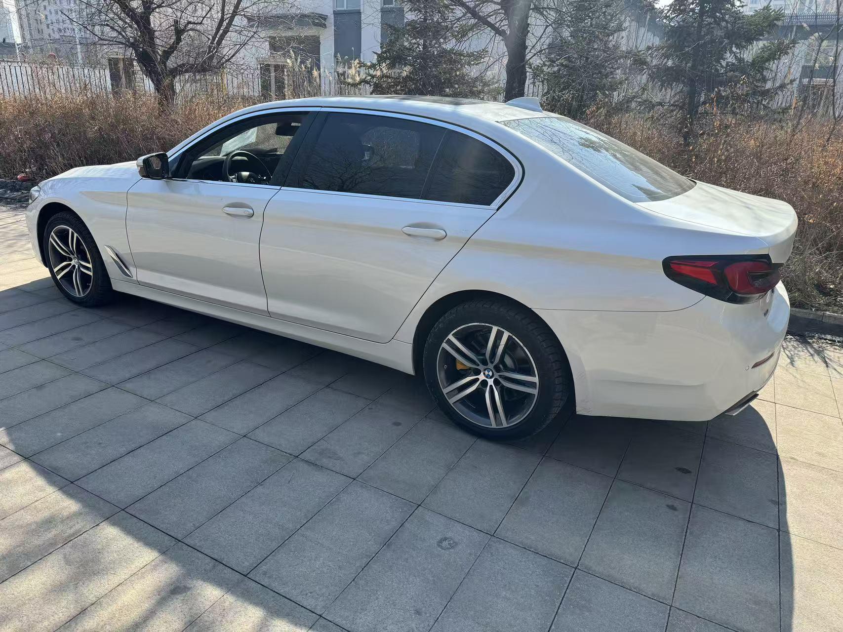 BMW 5 Series 5 2021 530Li xDrive Luxury