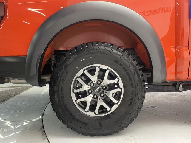 Ford F-150 Raptor 2023 Eco Boost 3.5 T V 6 — фото 12