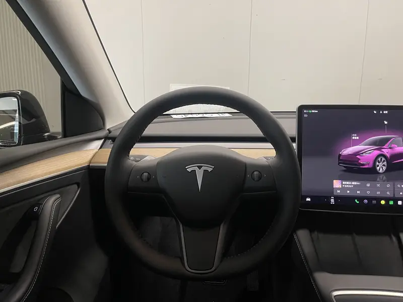 Tesla Model Y — фото 14