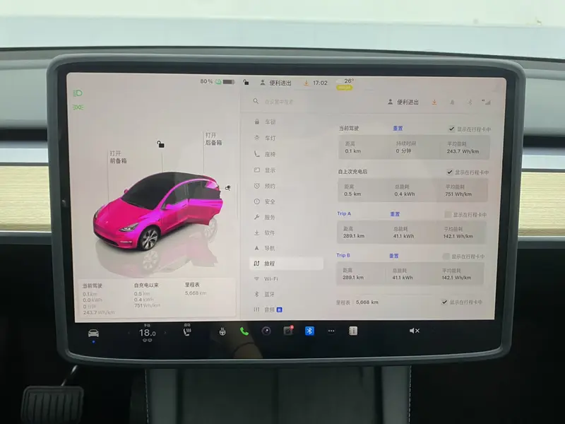 Tesla Model Y — фото 13