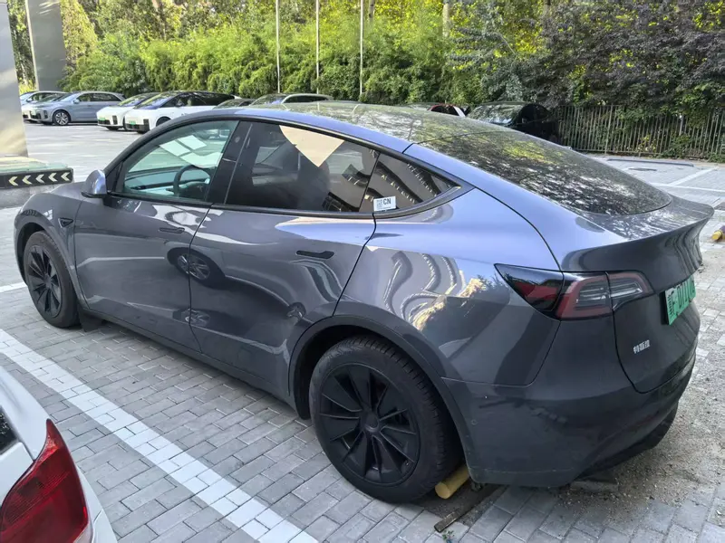 Tesla Model Y — фото 3
