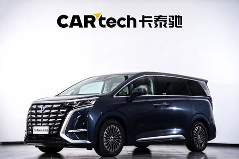 DENZA D9 DM