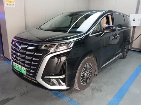 DENZA D9 DM