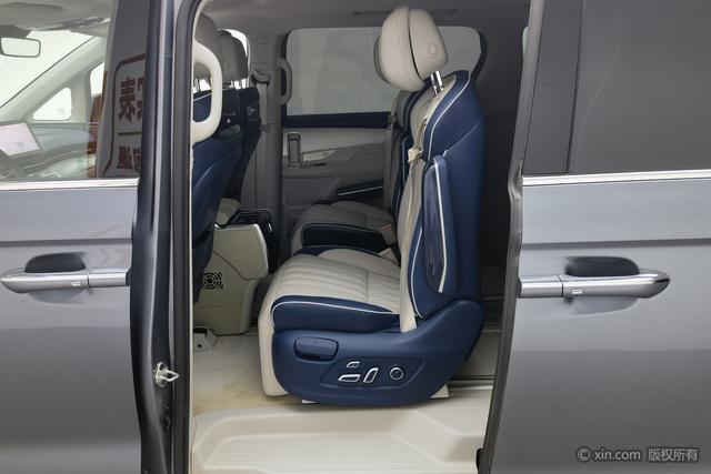 Roewe i MAX8 2021 400 TGI Supreme — фото 19