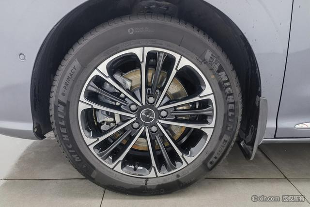 Roewe i MAX8 2021 400 TGI Supreme — фото 8