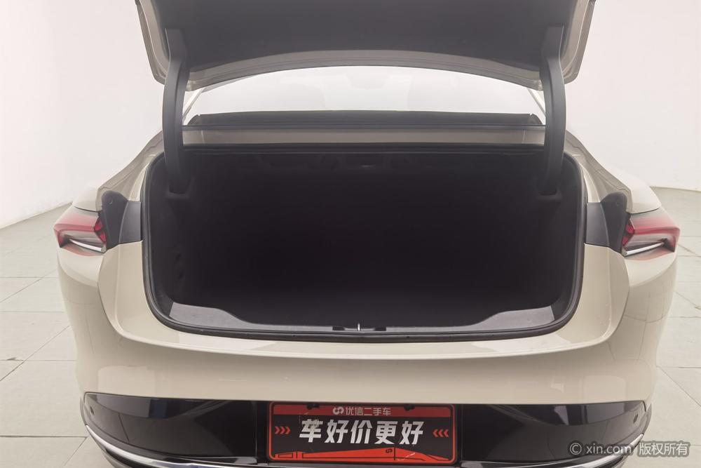 Buick Electra L7, фото 22