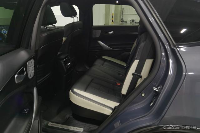 Denza X PHEV 2020 2.0 T — фото 19