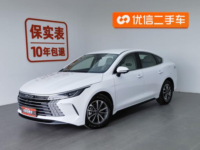 BYD Destroyer 2024 года выпуска