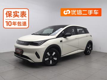 BYD Dolphin 410KM Style 2025