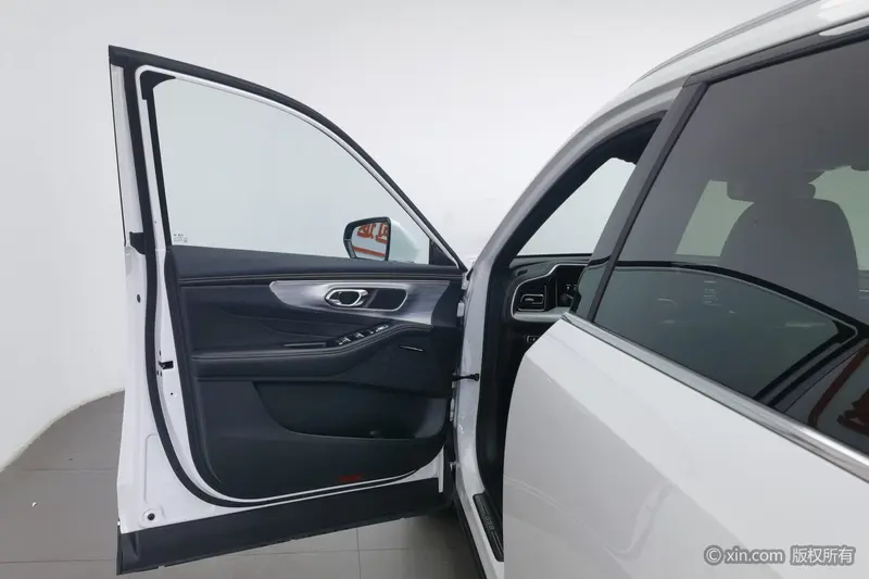 Trumpchi GACTrumpchi GS8 — фото 15