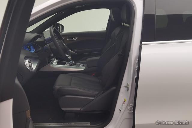 Denza X PHEV 2020 2.0 T — фото 16