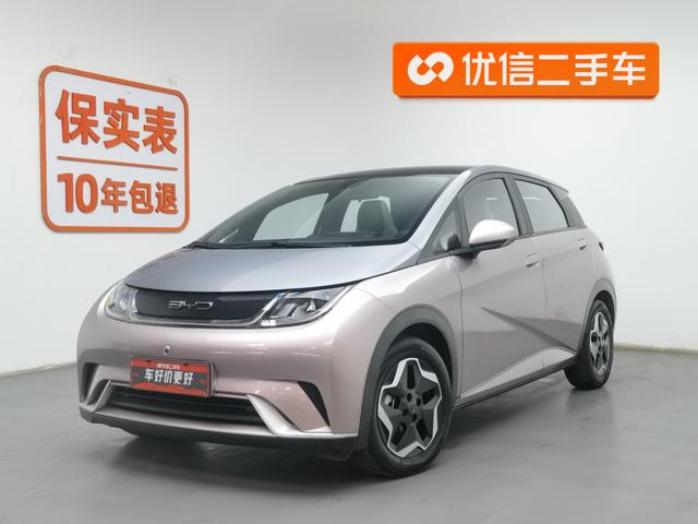 BYD Dolphin 2021 года выпуска