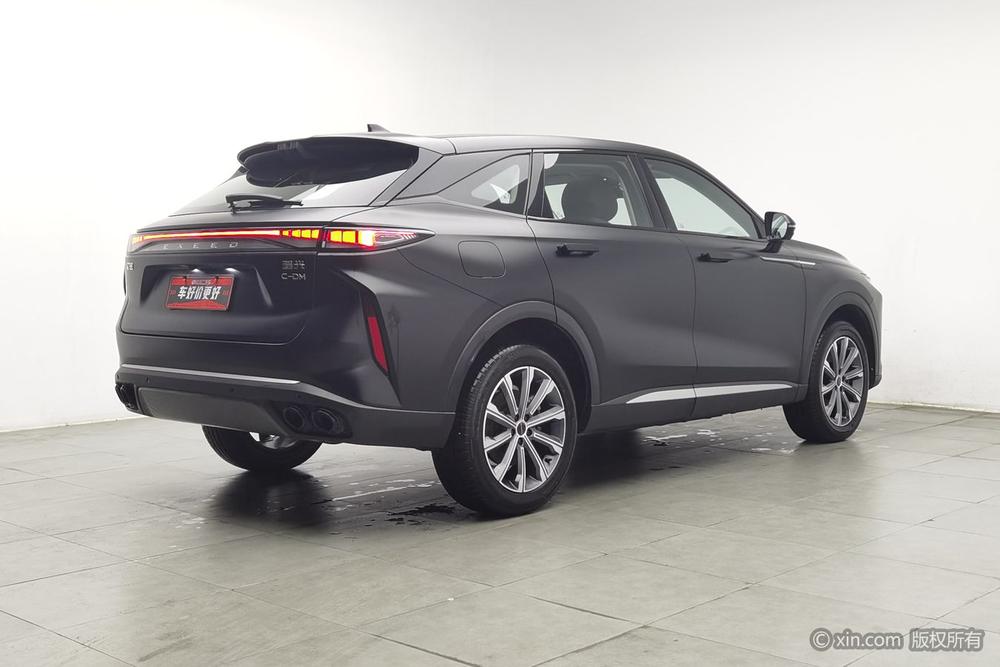 EXEED Yaoguang C-DM, фото 4