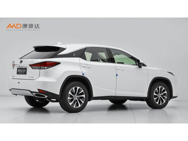 Lexus RX 2020 300 2 WD VI — фото 4