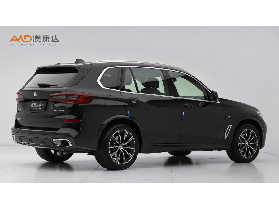BMW X5 2022 xDrive 30Li M Sport