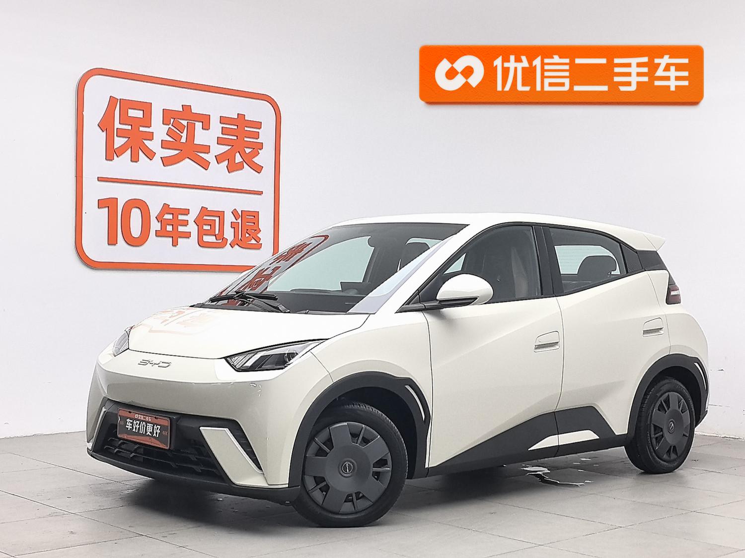 BYD Seagull
