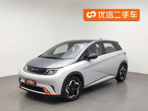 BYD Dolphin 2021 Fashion