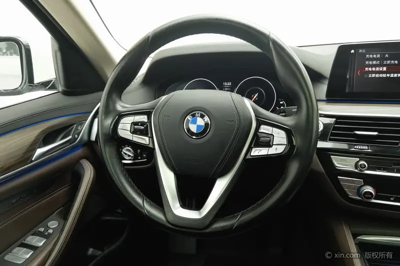 BMW 5 PHEV 530 Le Luxury Package — фото 10