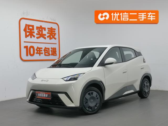 BYD Seagull 2024 года выпуска