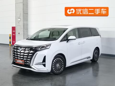 DENZA D9 DM