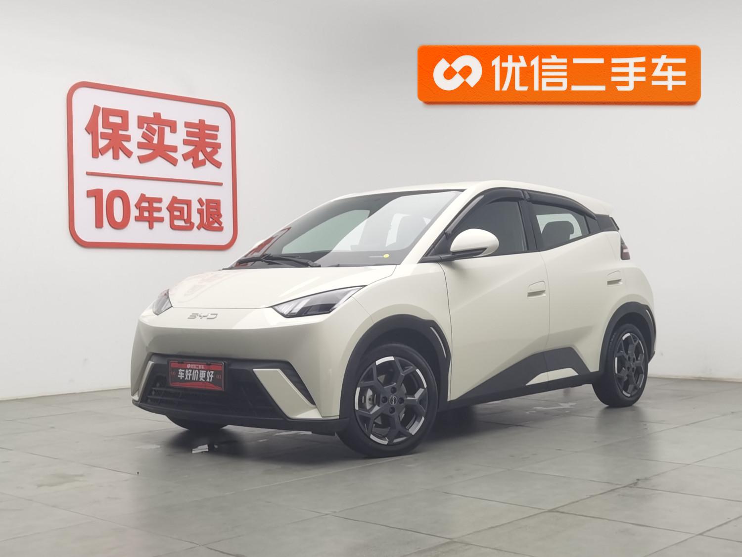BYD Seagull
