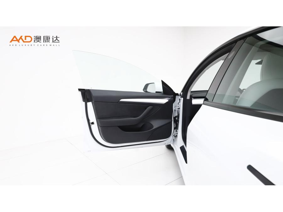 Tesla Model 3 2021 Performance 3D3/3D1