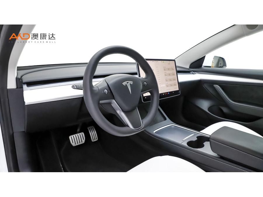 Tesla Model 3 2021 Performance 3D3/3D1