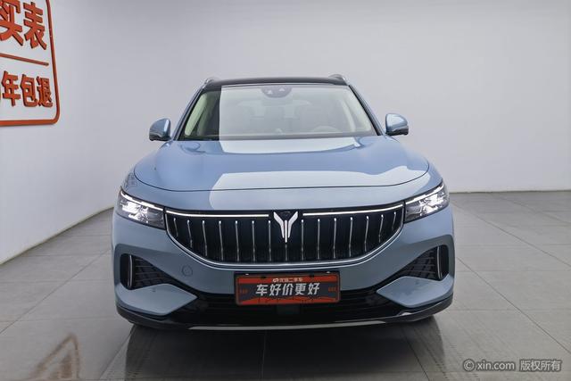 Lan Tu FREE 2023 Синий из Китая, фото 3