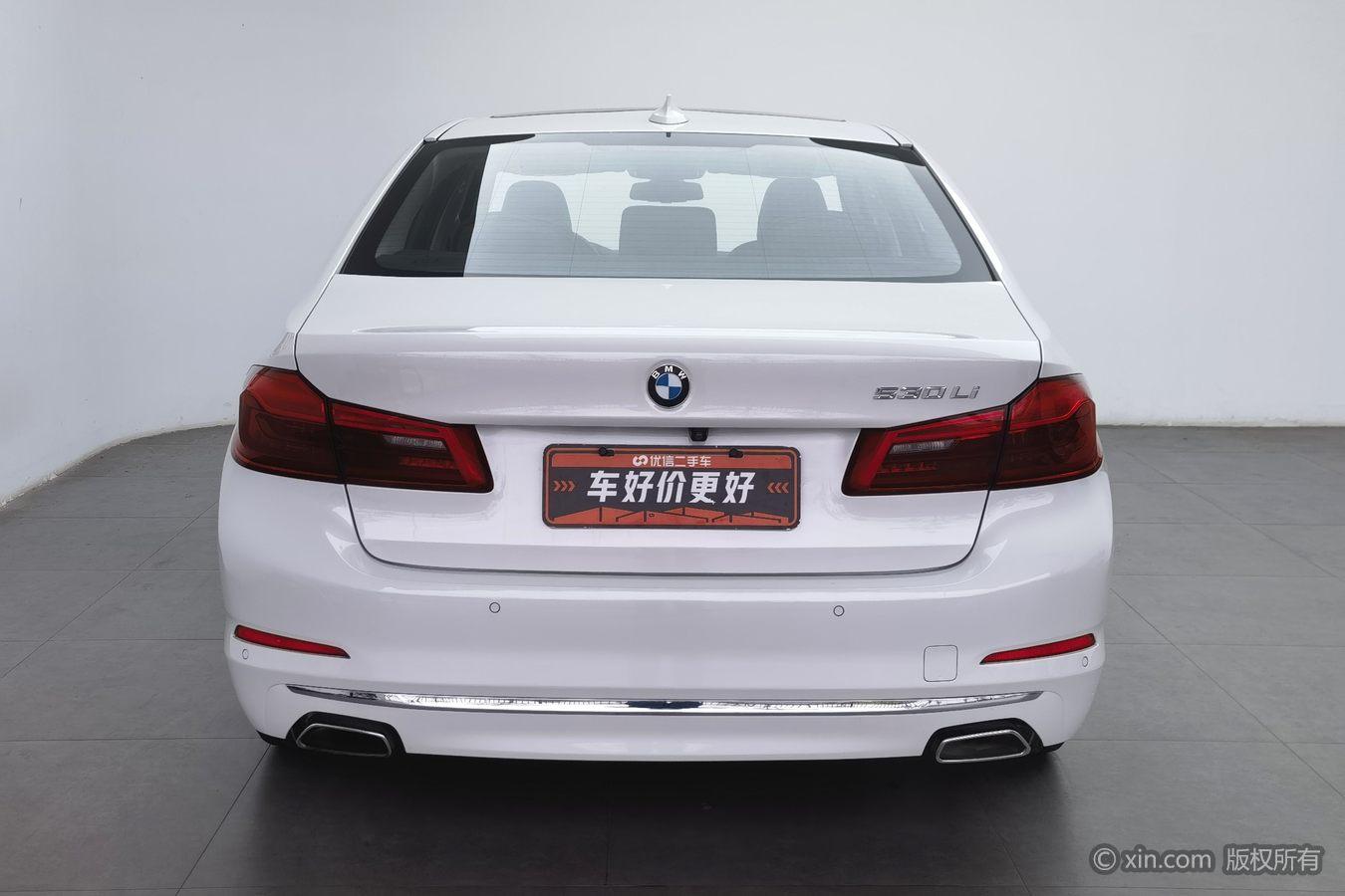 BMW 5 Series 5 2020 530Li Lead Luxury